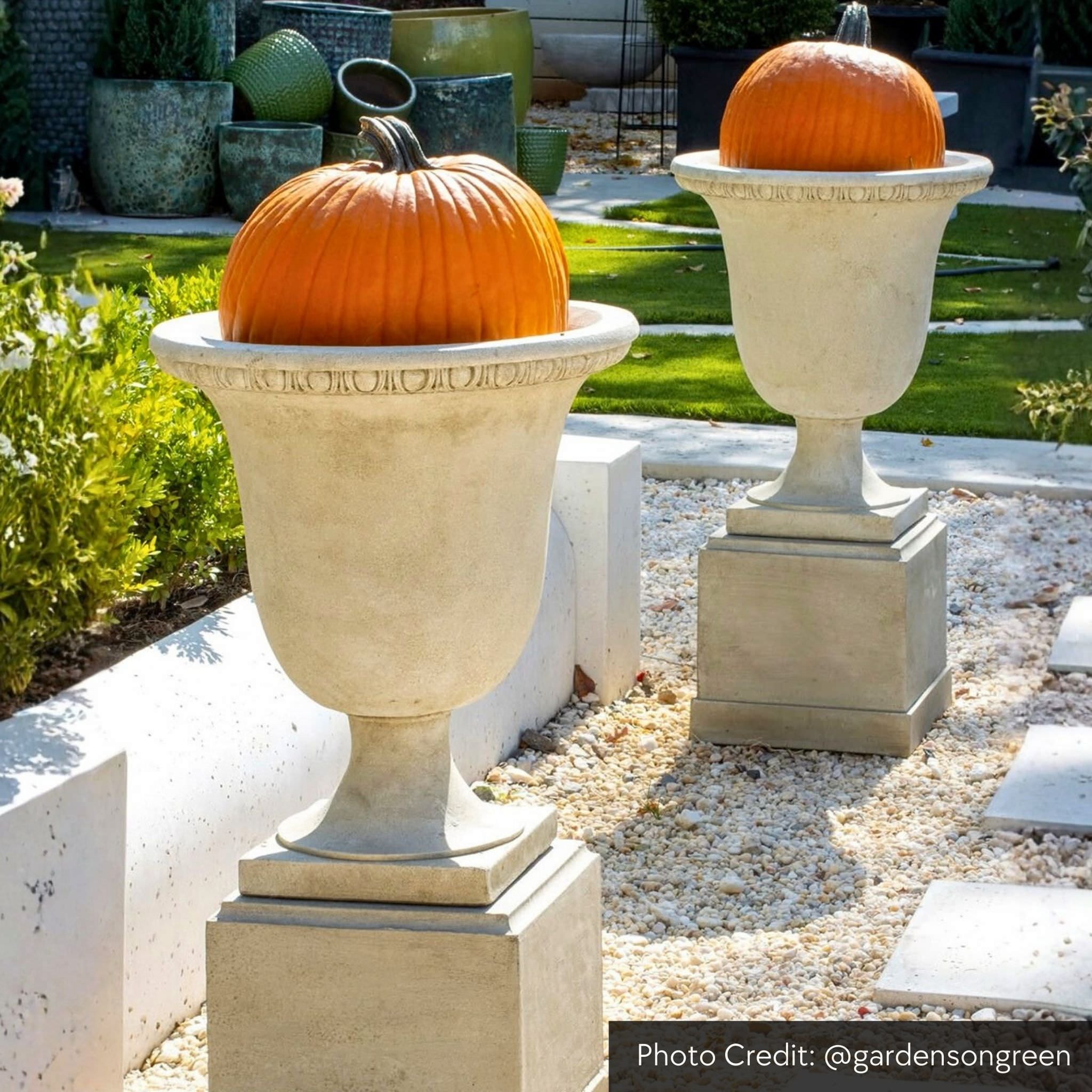 Williamsburg Egg & Dart Concrete Urn Planter - Campania #P467