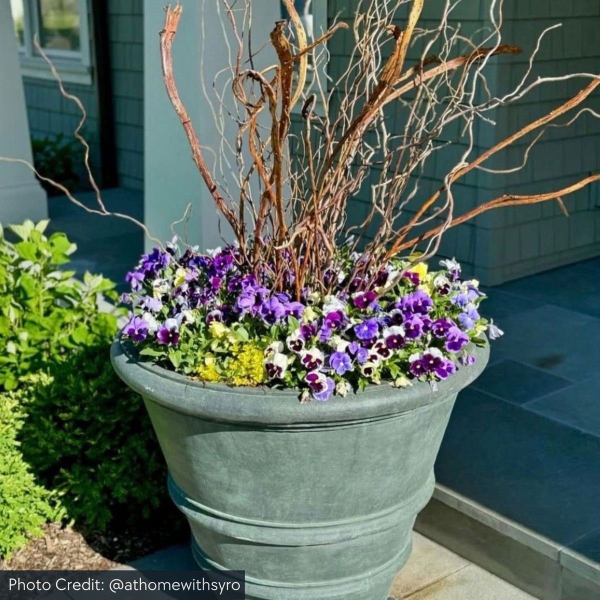 Classic Rolled Rim Concrete Round Planters - Campania
