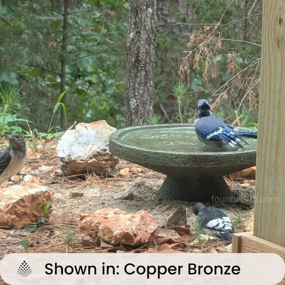 Roxie Concrete Bird Bath - Campania #B205