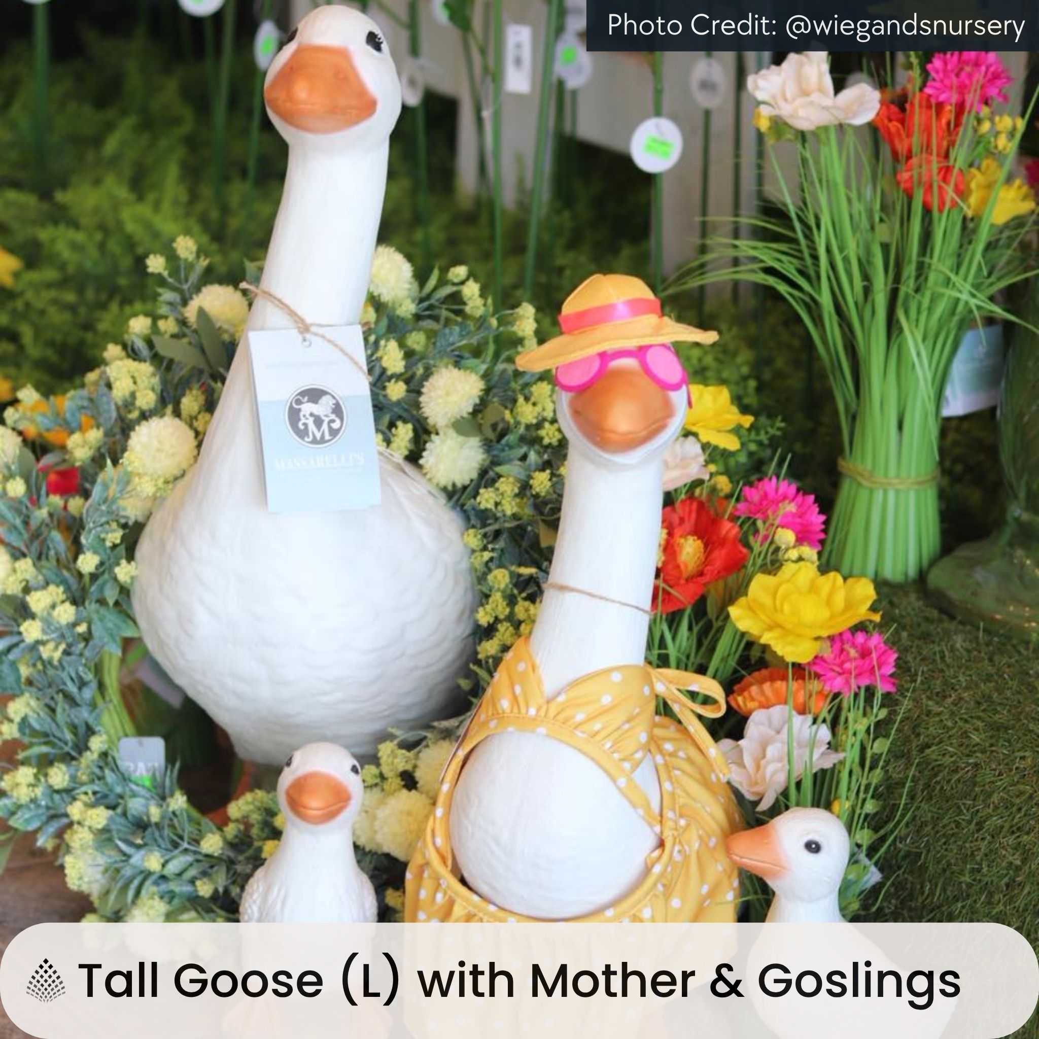 Geese Set Concrete Garden Statues - Massarellis #2825