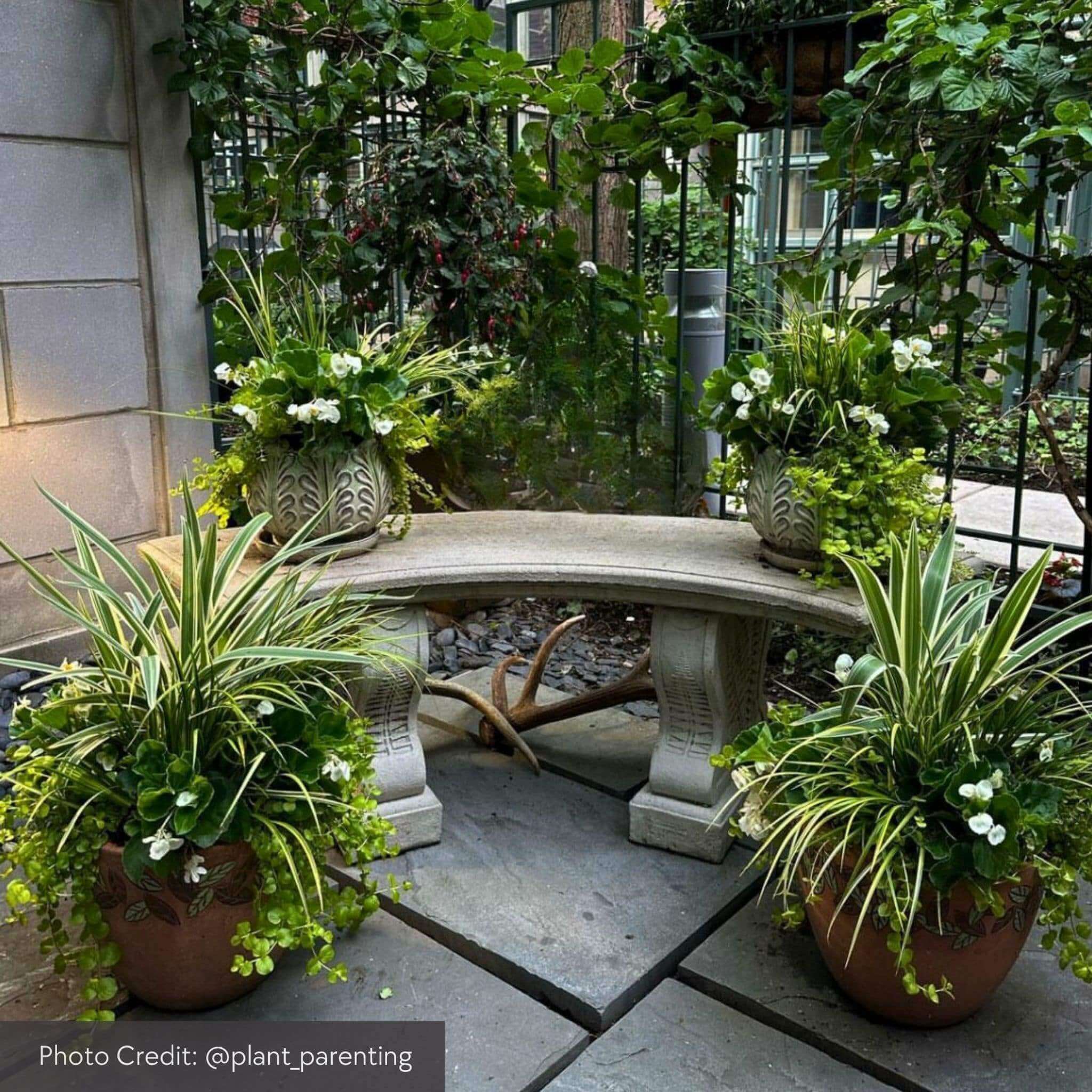 Curved Woodland Ferns Concrete Outdoor Bench - Campania