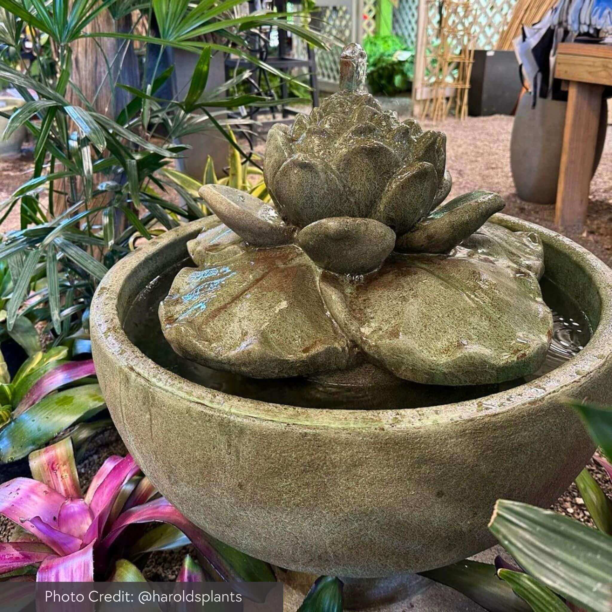 Smithsonian Lotus Concrete Fountain - Campania #FT236