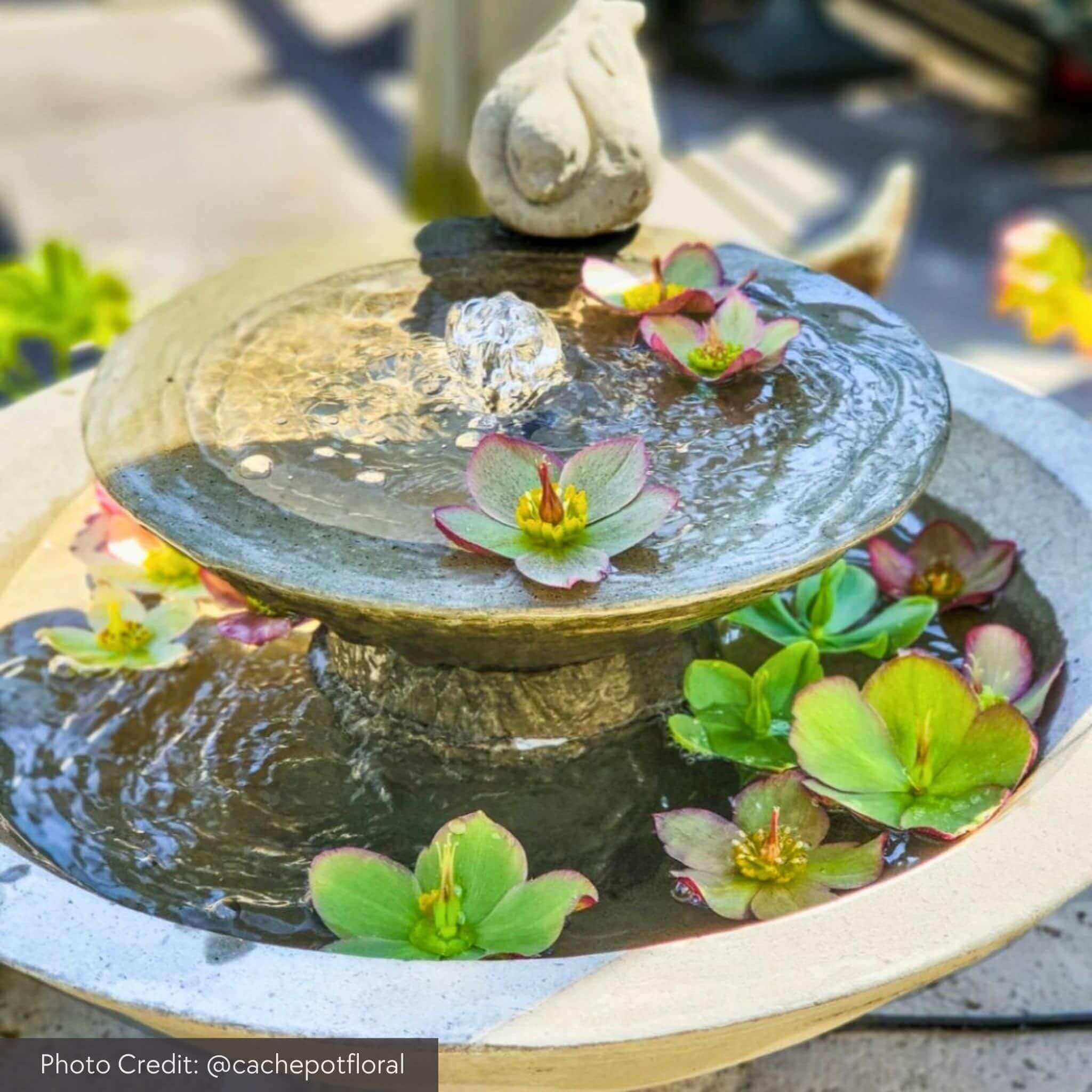 Campania International Wychwood Fountain - Thumbnail 3