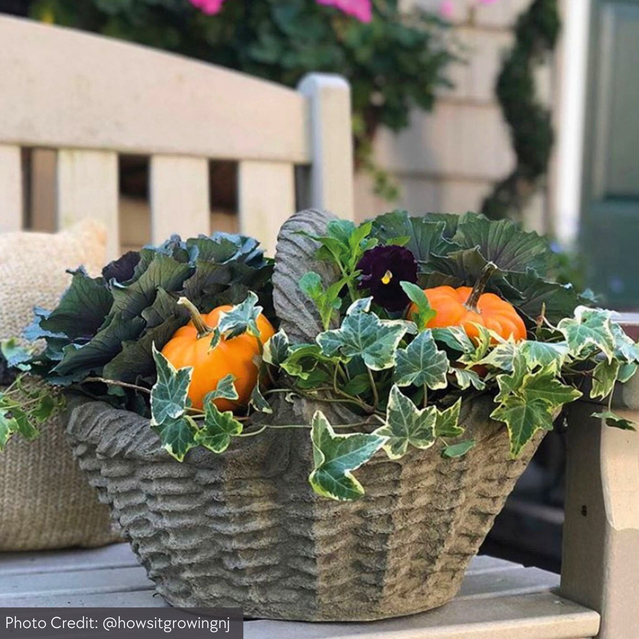 Small Basket With Handle Concrete Planter - Campania #P263