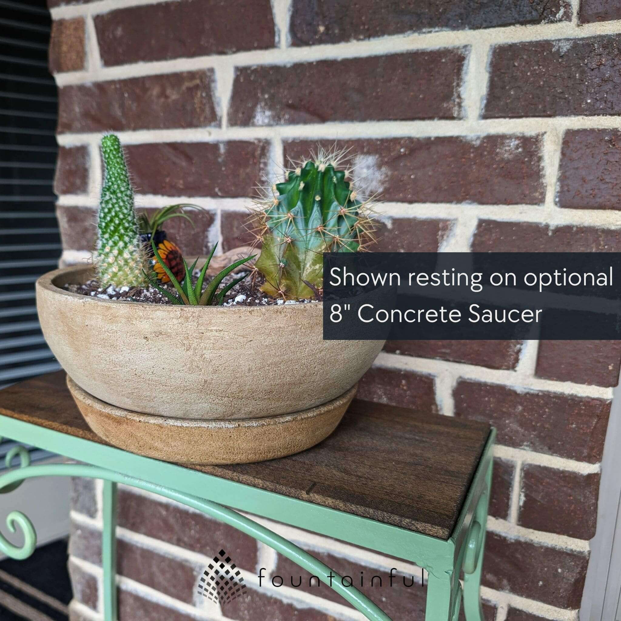 concrete plant saucer Campania International | Terrace Small Bowl Alpine Stone