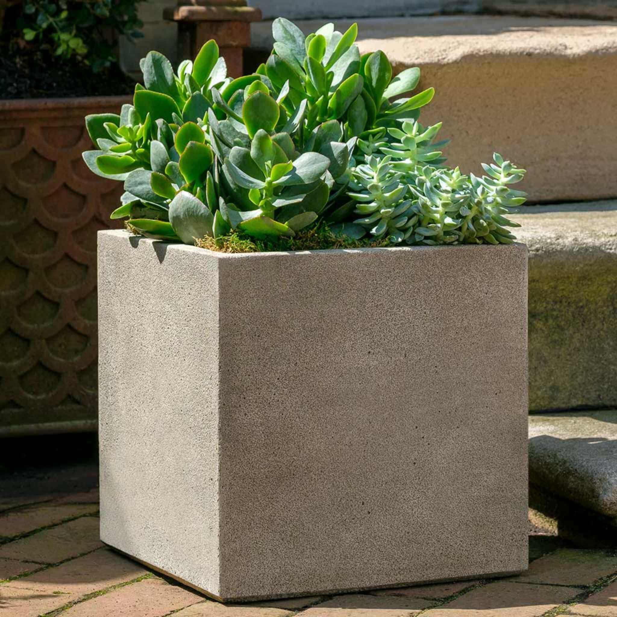 Cube Concrete Planters - Campania